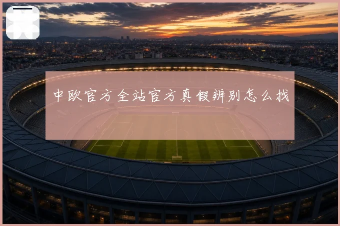 中欧官方全站官方真假辨别怎么找