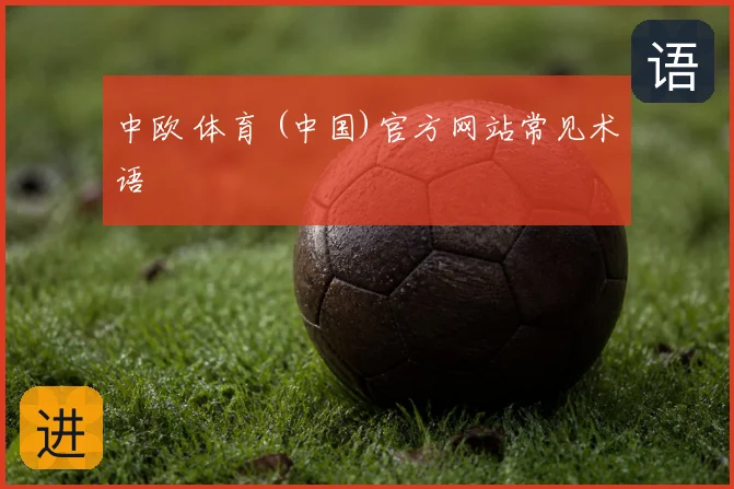 中欧 体育 (中国)官方网站常见术语